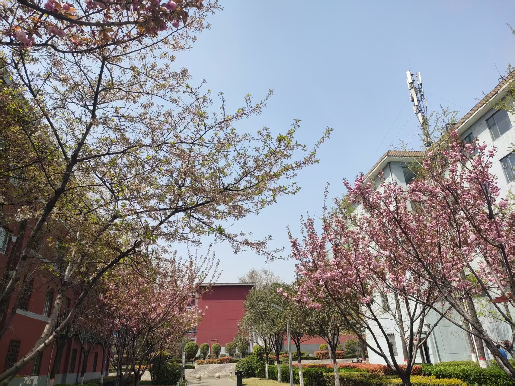 鋼城智變:在時(shí)代洪流中筑起綠色長城 鋼城智變:在時(shí)代洪流中筑起綠色長城